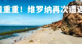 C7娱乐官网-困境重重！维罗纳再次遭遇失败，维罗纳计划-第2张图片-C7娱乐官网