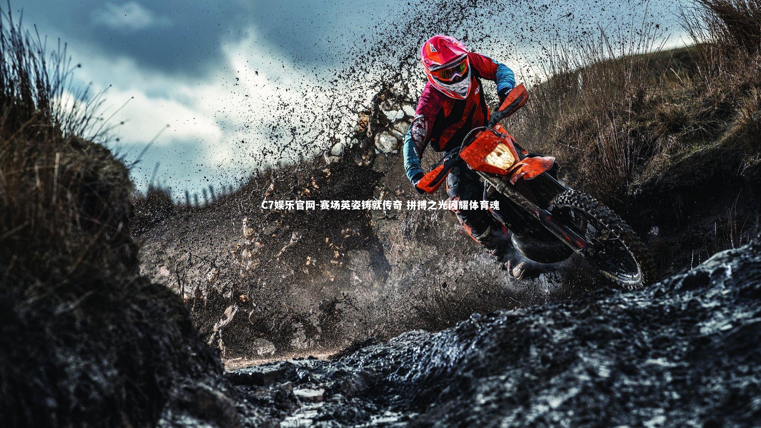 C7娱乐官网-赛场英姿铸就传奇 拼搏之光闪耀体育魂-第2张图片-C7娱乐官网